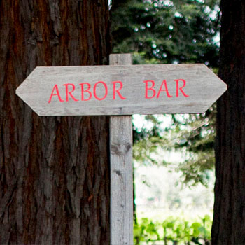 A closeup of an outdoor wooden sign for the “Arbor Bar” at Trentadue’s Geyserville Winery. Giant redwood tree trunks frame the background.
