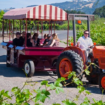 A tractor pulls a gondola wine car full of Trentadue Winery guests through a Sonoma Wine Country vineyard.