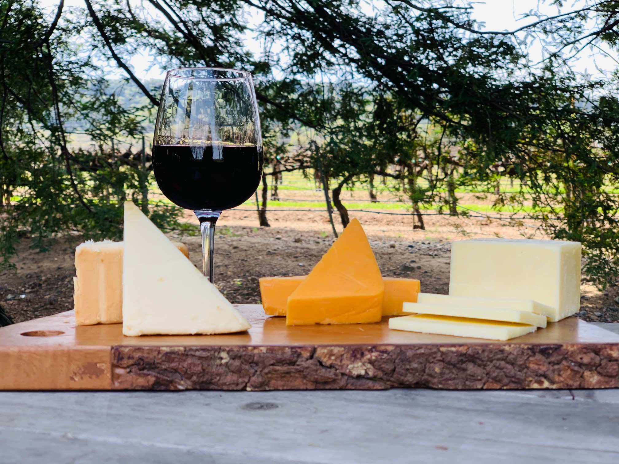 Photo of wine and cheese on a wooden board in front of a tree and vineyards.