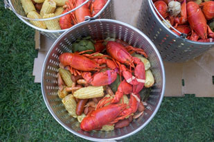 Annual Lobster Feast!