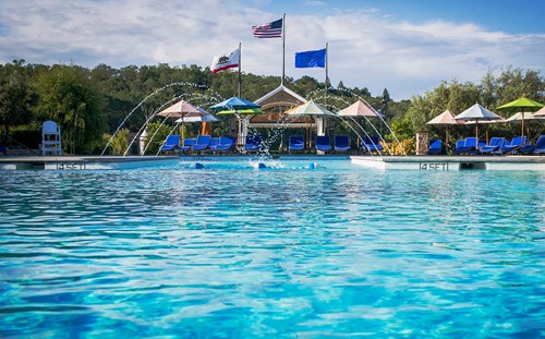 Francis Ford Coppola Winery pool view