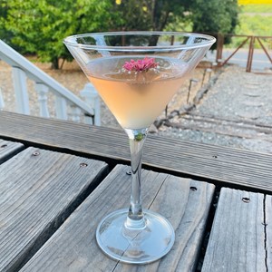 peach colored cocktail in a martini glass with an edible flower garnish on a wooden deck